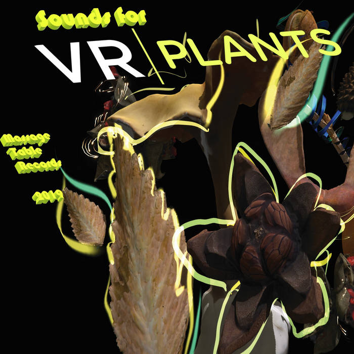 The Cover Image for 'Sounds for VRPlants' by MTR Magic Key