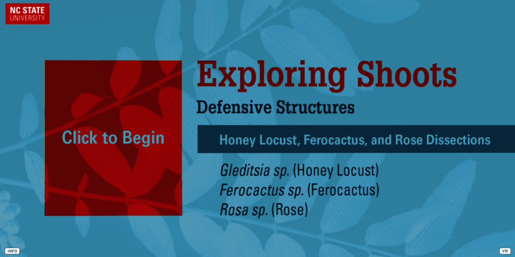 The title card for the defensive structures dissection module